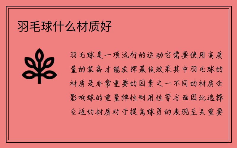 羽毛球什么材质好